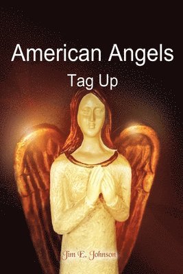 Jim E Johnson - American Angels, Häftad. Tillgänglighet: Tillfälligt slut