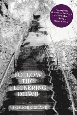 Theodore Shank - Follow The Flickering Down, Häftad