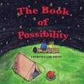 The Book of Possibility