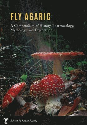 Fly Agaric by Kevin M Feeney, Kevin M Feeney, Kevin M Feeney