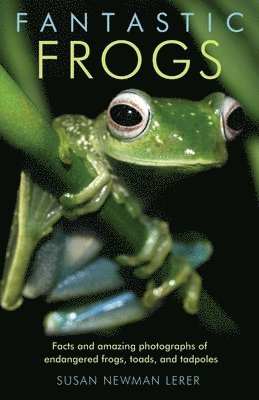 Susan Newman Lerer - Fantastic Frogs, Häftad