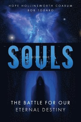 Bob Todaro, Hope Hollinsworth Coaxum - Souls, Häftad