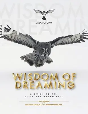 Paul M Sheldon, Elizabeth Eagar, Ingrid Bamberg - Wisdom of Dreaming, Häftad. Tillgänglighet: Lägg i varukorg