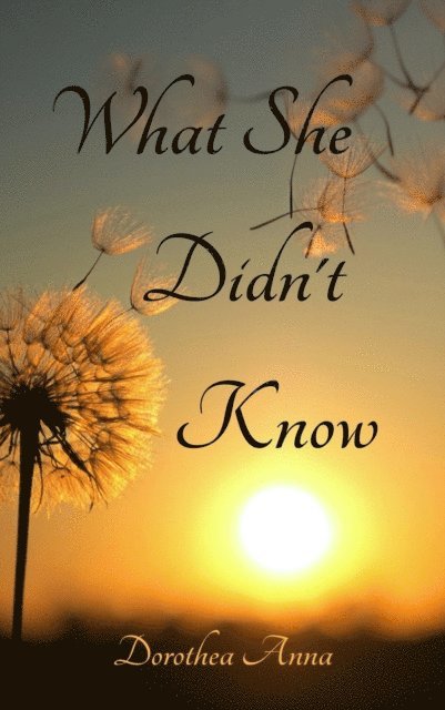 Dorothy Robey - What She Didn't Know, E-bok