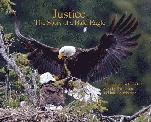 Justice--The Story of a Bald Eagle