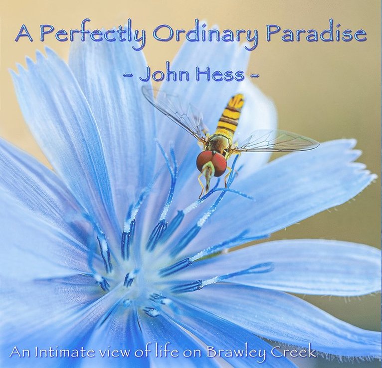 John Hess - Perfectly Ordinary Paradise, Inbunden. Tillgänglighet: Tillfälligt slut