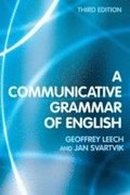 A Communicative Grammar of English
