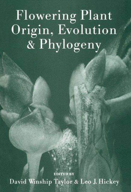 Leo Hickey, David W. Taylor - Flowering Plant Origin, Evolution & Phylogeny, E-bok