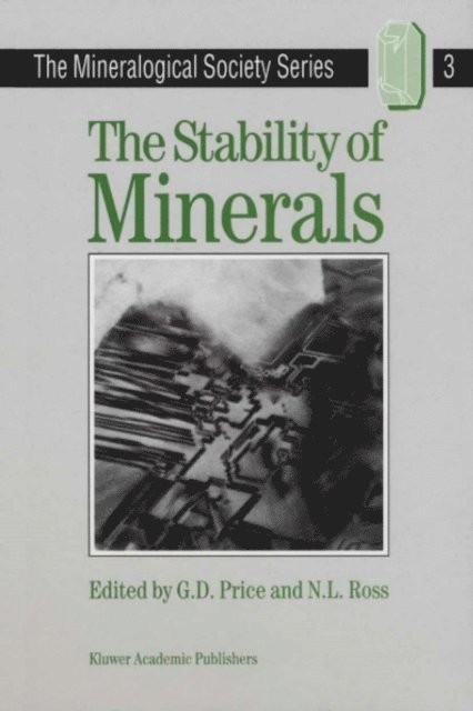 N.L. Ross, G.D. Price - Stability of Minerals, E-bok