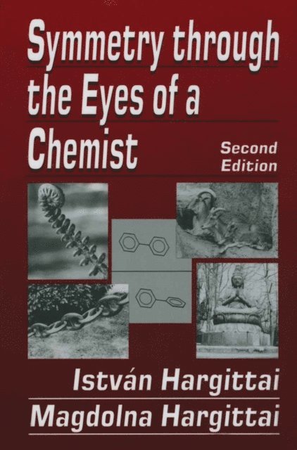 Magdolna Hargittai, Istvan Hargittai - Symmetry through the Eyes of a Chemist, E-bok