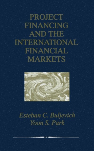 Yoon S. Park, Esteban C. Buljevich - Project Financing and the International Financial Markets, E-bok