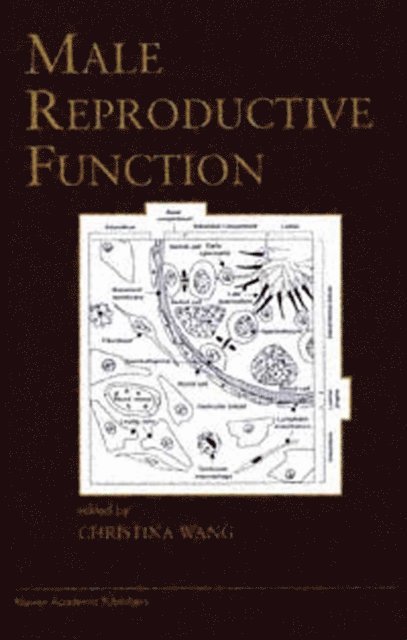 Christina Wang - Male Reproductive Function, E-bok