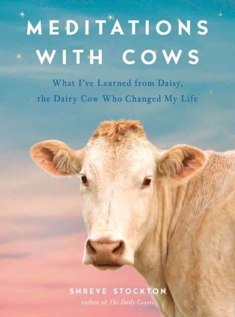 Shreve Stockton - Meditations with Cows, E-bok