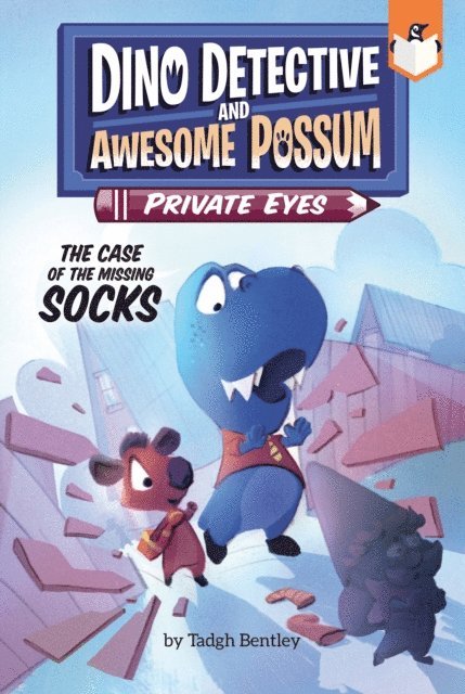 Tadgh Bentley - Case of the Missing Socks #2, E-bok