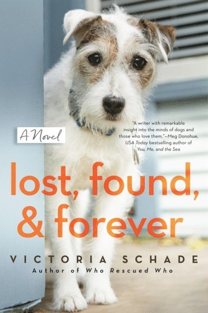 Victoria Schade - Lost, Found, and Forever, E-bok
