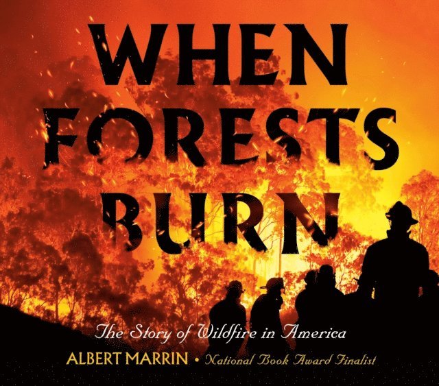 Albert Marrin - When Forests Burn, E-bok