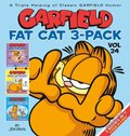 Garfield Fat Cat #24