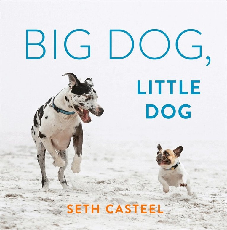 Seth Casteel - Big Dog, Little Dog, Inbunden