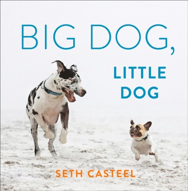 Seth Casteel - Big Dog, Little Dog, E-bok. Tillgänglighet: Lägg i varukorg