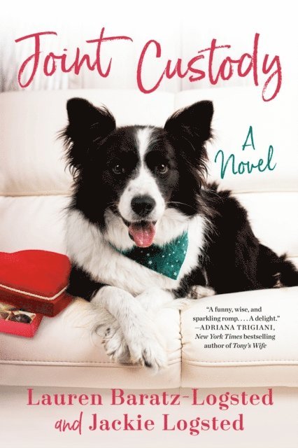 Jackie Logsted, Lauren Baratz-Logsted - Joint Custody, E-bok
