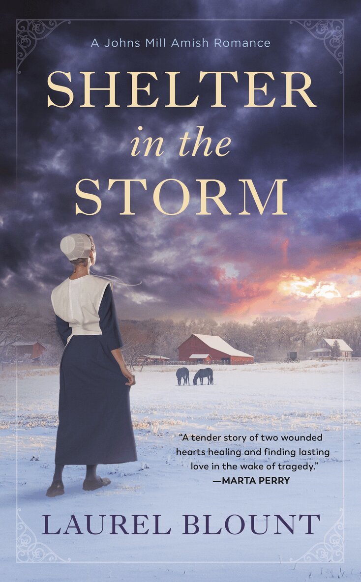 Laurel Blount - Shelter in the Storm, Häftad