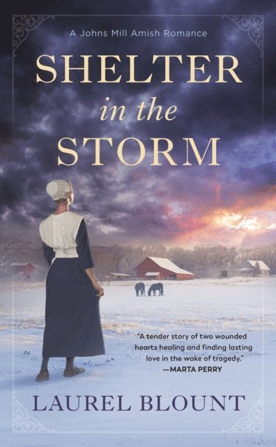 Laurel Blount - Shelter in the Storm, E-bok