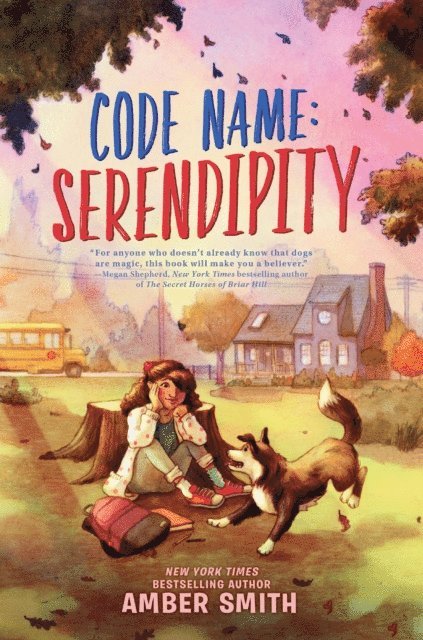 Amber Smith - Code Name: Serendipity, E-bok