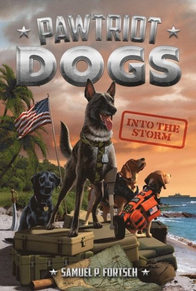 Samuel P. Fortsch - Into the Storm #3, E-bok