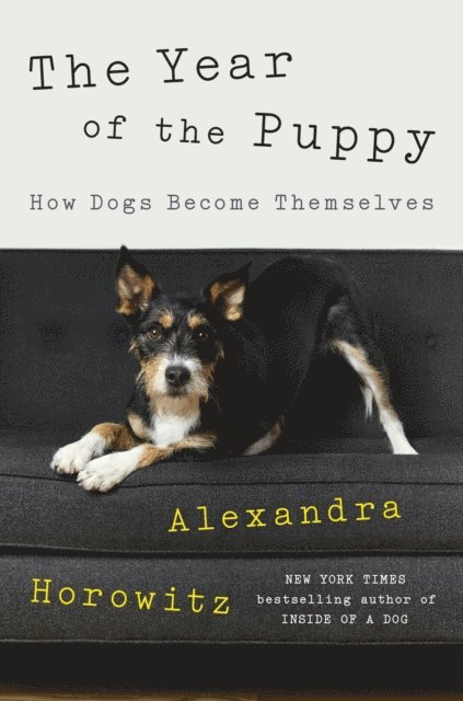 Alexandra Horowitz - Year of the Puppy, E-bok