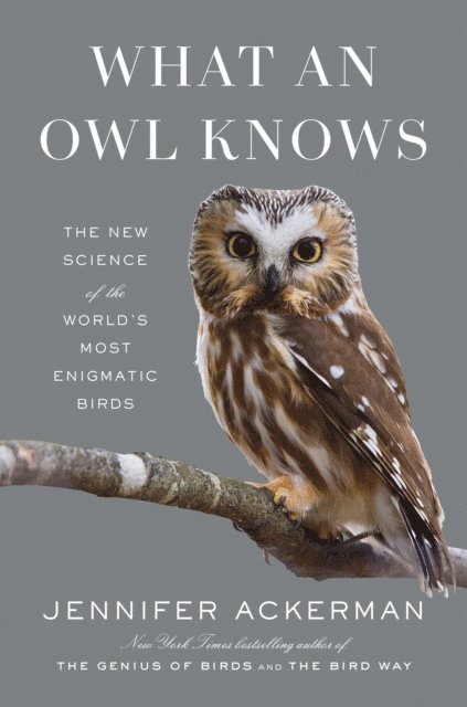 Jennifer Ackerman - What an Owl Knows, E-bok