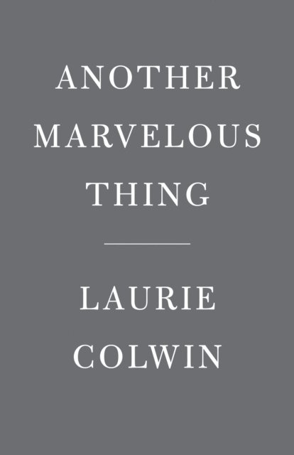 Laurie Colwin - Another Marvelous Thing, E-bok