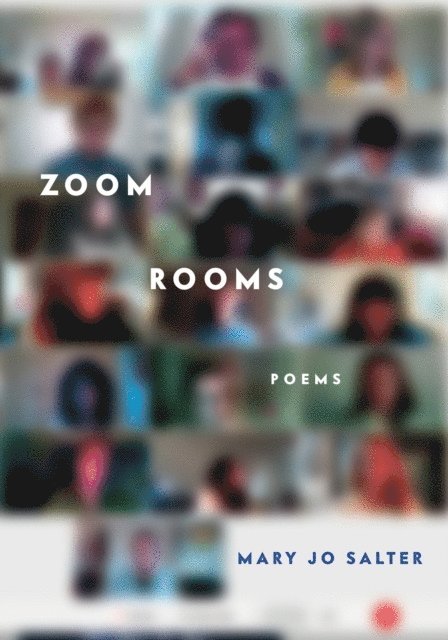 Mary Jo Salter - Zoom Rooms, E-bok