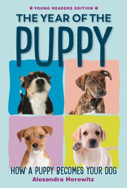 Alexandra Horowitz - Year of the Puppy, E-bok