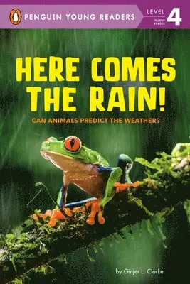 Ginjer L. Clarke - Here Comes the Rain!, Inbunden