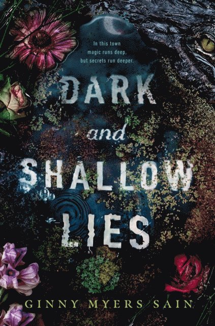 Ginny Myers Sain - Dark and Shallow Lies, E-bok