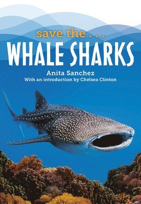 Save the...Whale Sharks, Inbunden