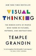 Visual Thinking: The Hidden Gifts of People Who Think in Pictures, Patterns, and Abstractions