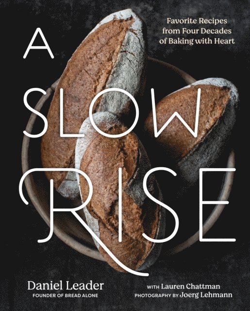 Daniel Leader - Slow Rise, E-bok