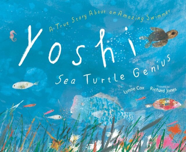 Lynne Cox - Yoshi, Sea Turtle Genius, E-bok