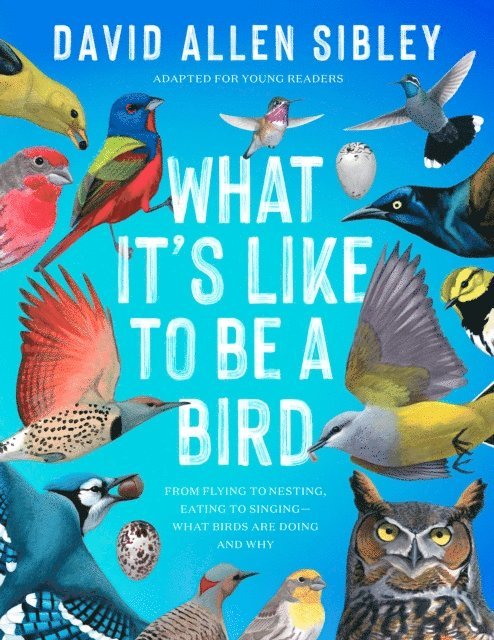 David Allen Sibley - What It's Like to Be a Bird (Adapted for Young Readers), E-bok
