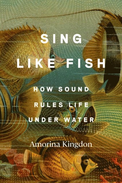 Amorina Kingdon - Sing Like Fish, E-bok