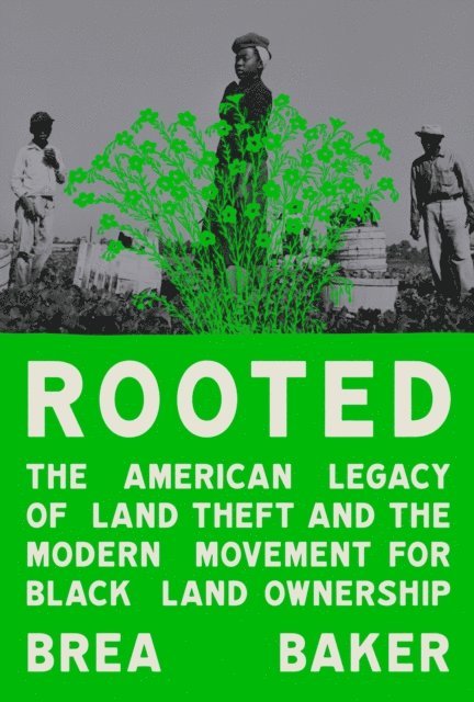 Brea Baker - Rooted, E-bok