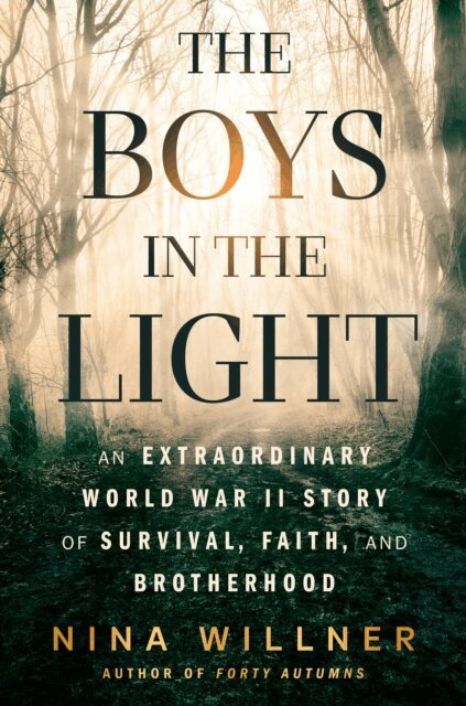 Nina Willner - Boys in the Light, E-bok. Tillgänglighet: Lägg i varukorg