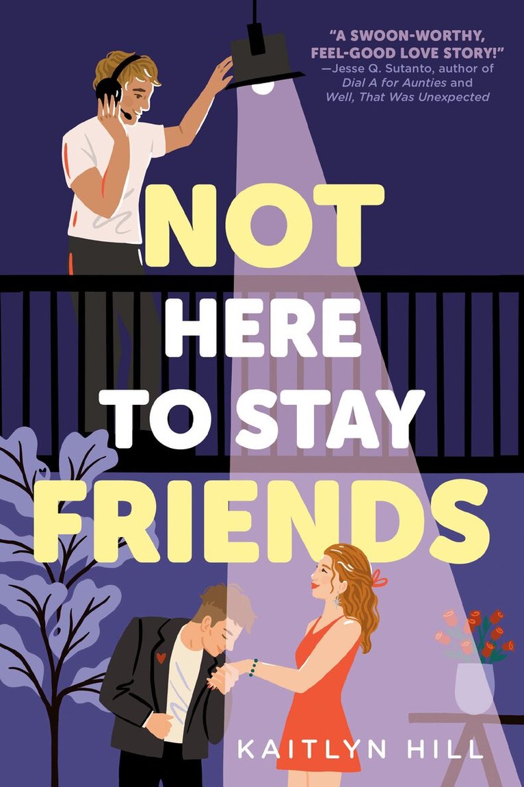 Kaitlyn Hill - Not Here to Stay Friends, Häftad