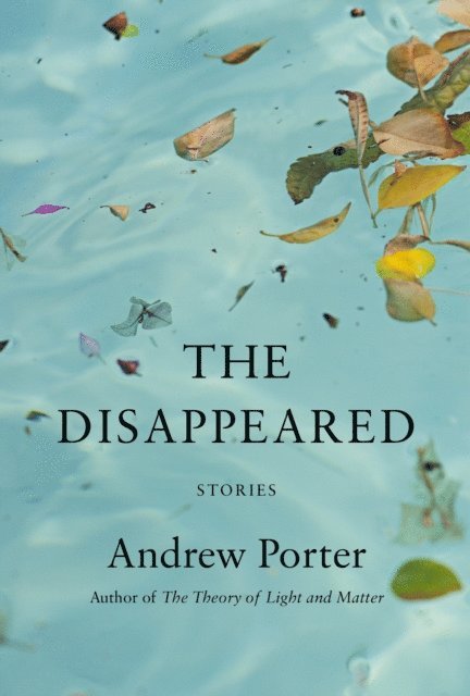 Andrew Porter - Disappeared, E-bok