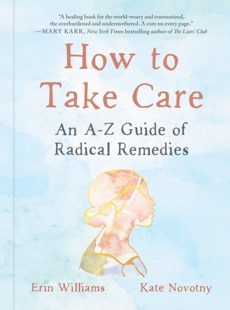 Kate Novotny, Erin Williams - How to Take Care, E-bok