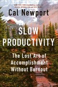 Slow Productivity
