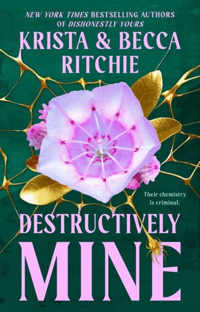 Becca Ritchie, Krista Ritchie - Destructively Mine, E-bok