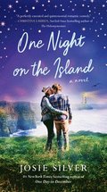 One Night on the Island