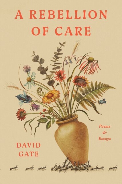 David Gate - Rebellion of Care, E-bok
